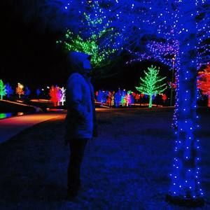 Meet your Posher, Røbert